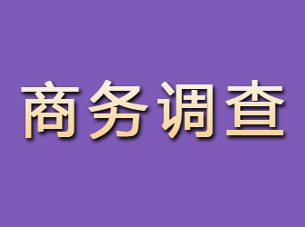 佳县商务调查